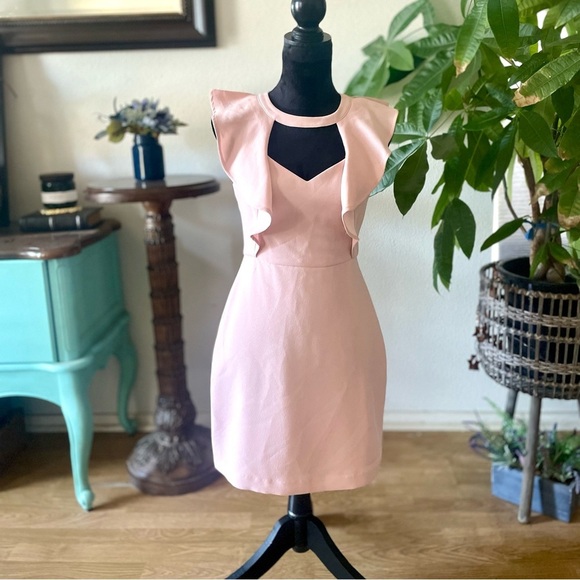 NWT BCBGeneration Cutout Ruffled Mini Sheath Dress Pink Rose Smoke Size 4 - Picture 4 of 9